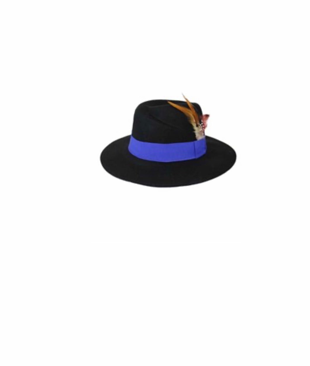 Fedora 1